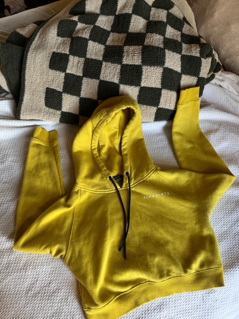 Alphalete Cropped Hoodie